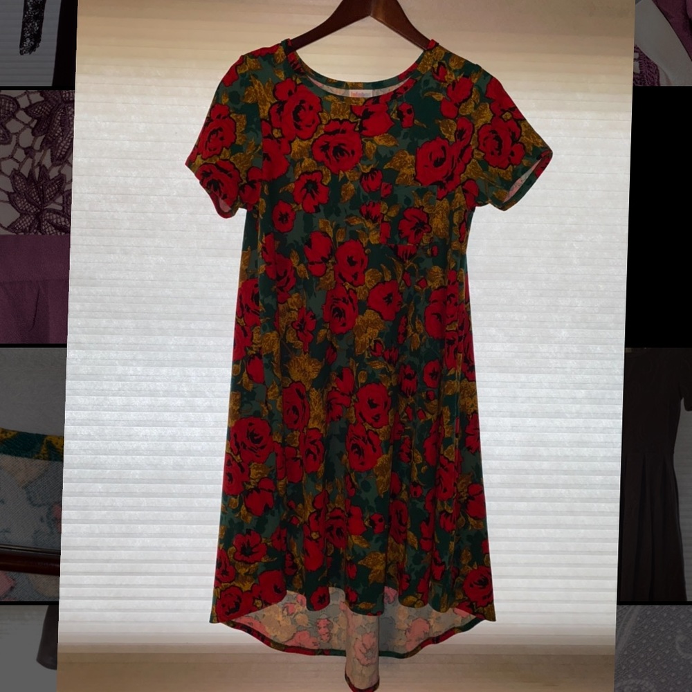 LuLaRoe Carly Floral Dress